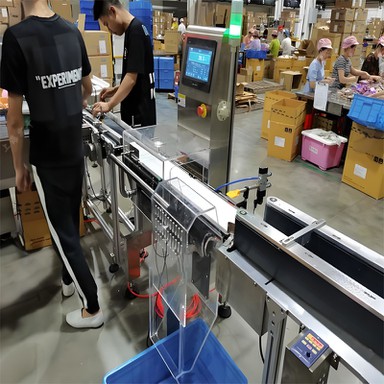 Weighing And Sorting Machine Weighing And Sorting Machine